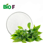 Organic Green Tea Extract 98% L-Theanine Powder Food Grade