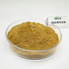 Food Grade Organic Green Lipped Mussel / Perna Canaliculus Extract Powder Water Soluble