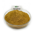 Food Grade Mullein Leaf Extract Powder Natural Mullein Extract