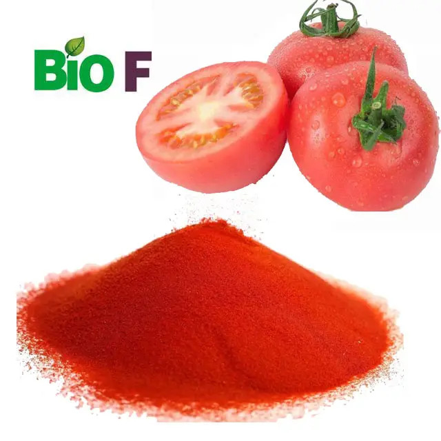 Food Grade Tomato Powder Natural Dried Tomato Extract Powder