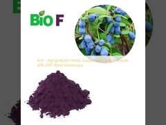 항 노화자연 약초 보충제 인디고 분말 40% OPC 완화 아스테노피아