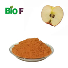 Food Grade Organic Apple Extract Powder Fruit Extract Procyanidin Powder