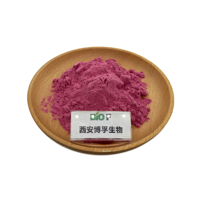 Natural Organic Acai Berry Extract Food Grade Acai Berry Extract Powder