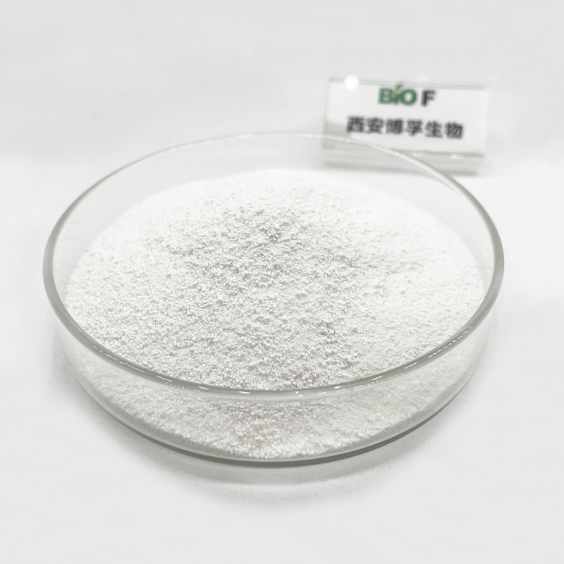 High Quality Theanine Supplements CAS 3081-61-6 L- Theanine Powder